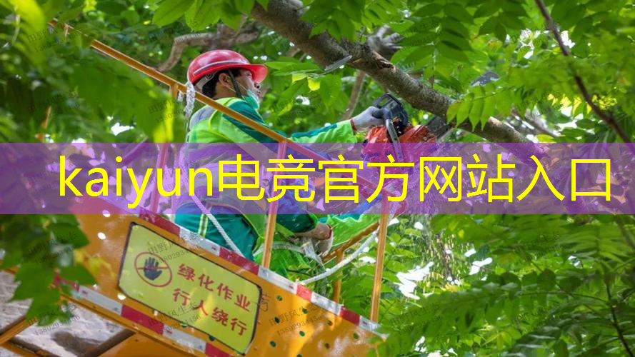 kaiyun电竞平台：3d游戏一直打怪升级不了