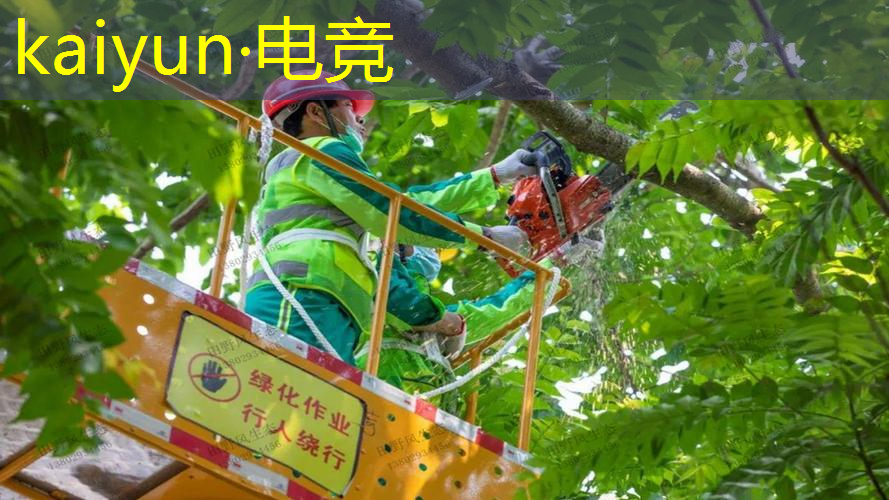 开云电竞：游戏策划原画程序是什么