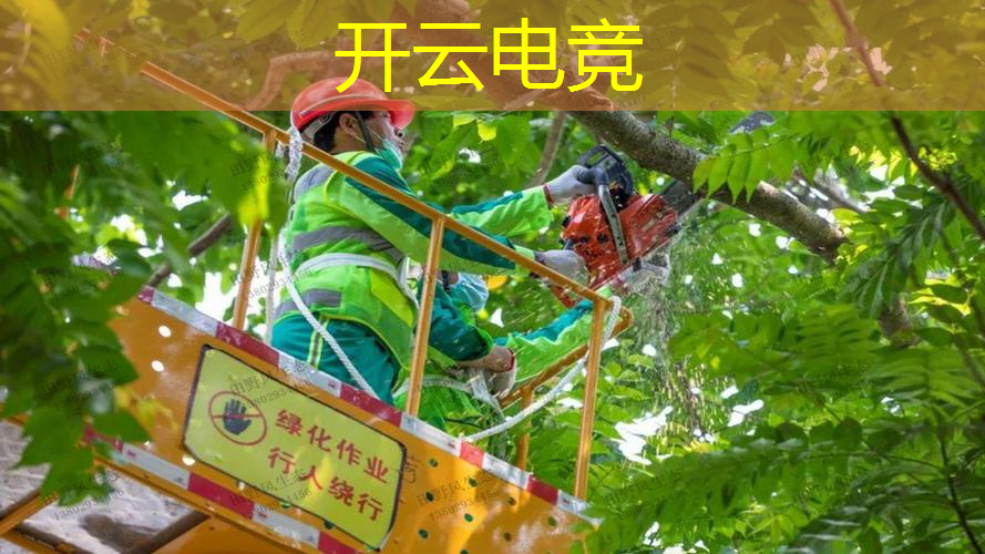 kaiyun电竞平台：3d斩击游戏手游推荐