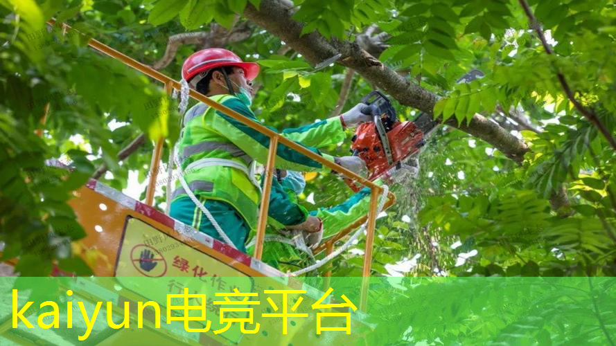 kaiyun电竞官方网站入口：高画质3d手游全部游戏