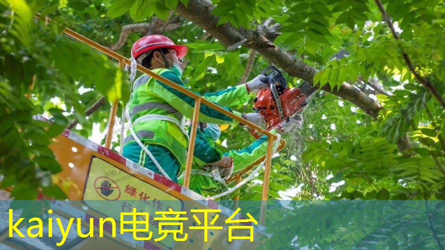 kaiyun电竞官方网站入口：原画游戏培训班哪家好点