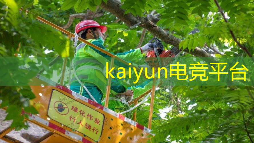 kaiyun·电竞：王者游戏3d动漫在线观看