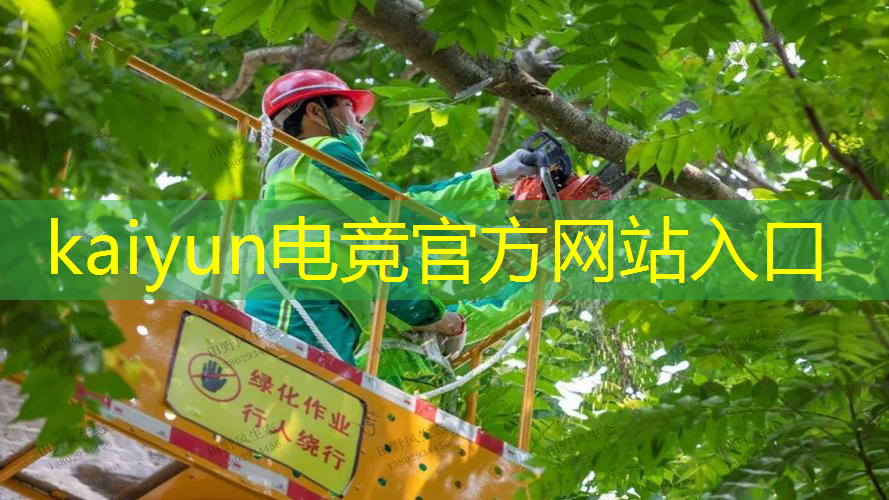 kaiyun电竞官方网站入口：3D第一人称射击类游戏
