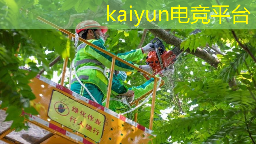 开云电竞：美系游戏角色原画大全集