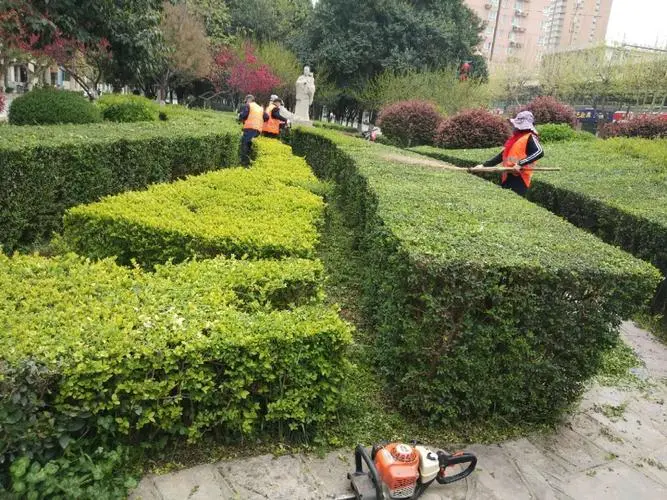 开云电竞：游戏原画旗袍怎么做
