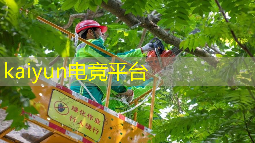 开云电竞：好玩传世小程序有哪些游戏