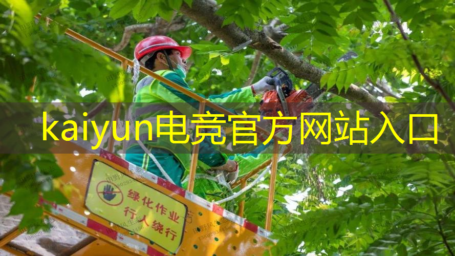 kaiyun电竞平台：3d道路交通模拟游戏