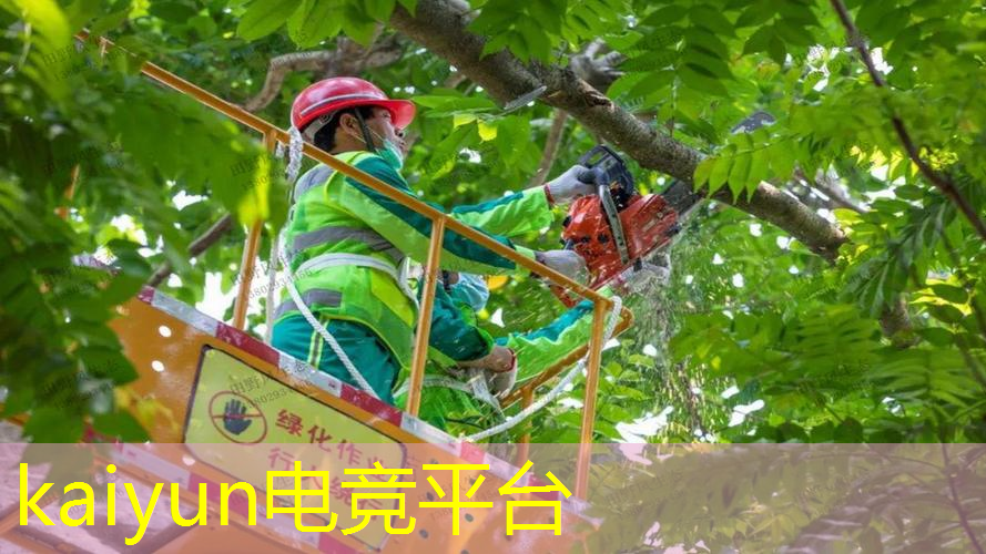 kaiyun电竞官方网站入口：平衡滚球3d休闲游戏