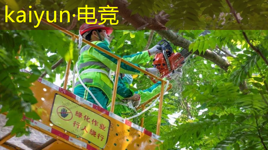 kaiyun电竞平台：国产3d单机封神榜游戏