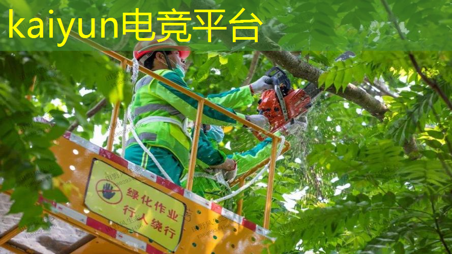kaiyun·电竞：游戏原画师的准备任务有哪些