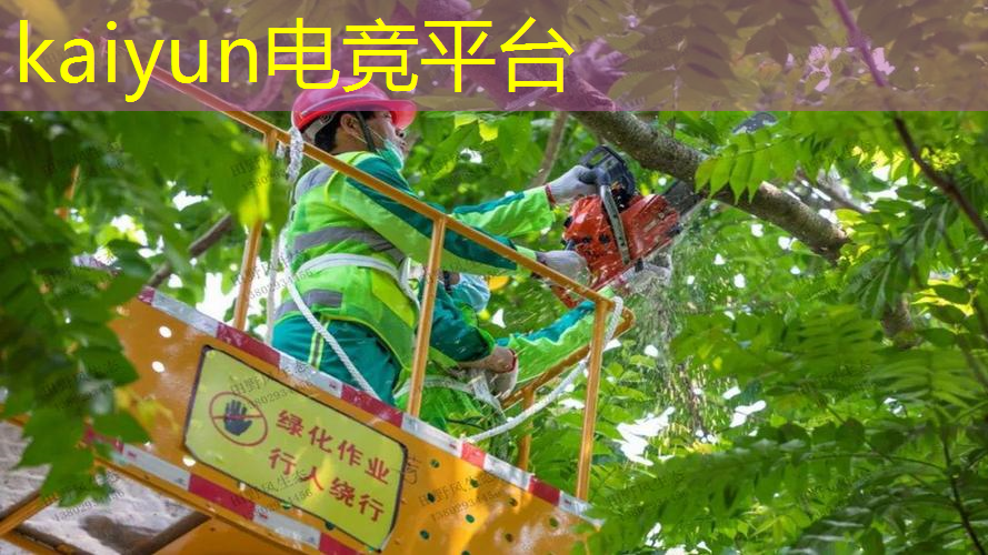 高分3d沙盒游戏大全