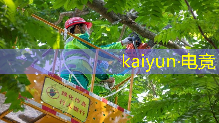 学习ui设计需要报班吗
