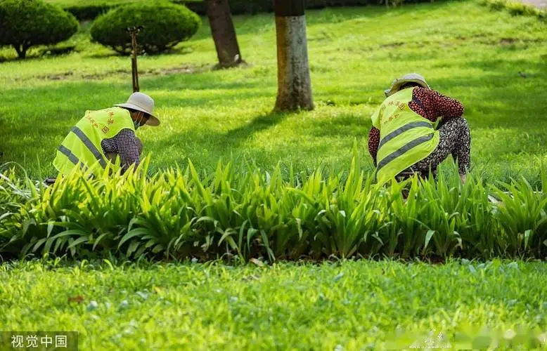 蛋仔3d鬼打枪游戏