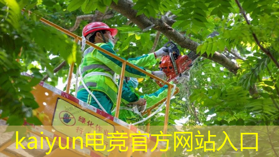 游戏策划原画程序是什么