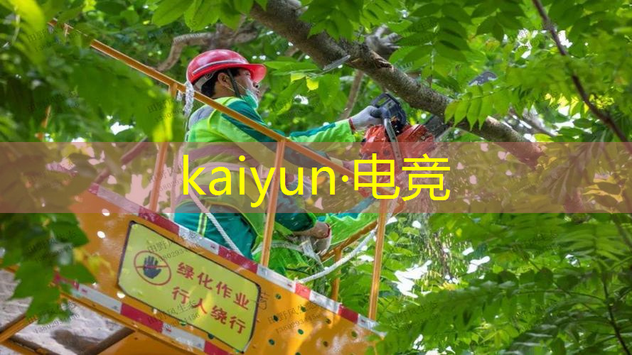 高画质3d手游全部游戏