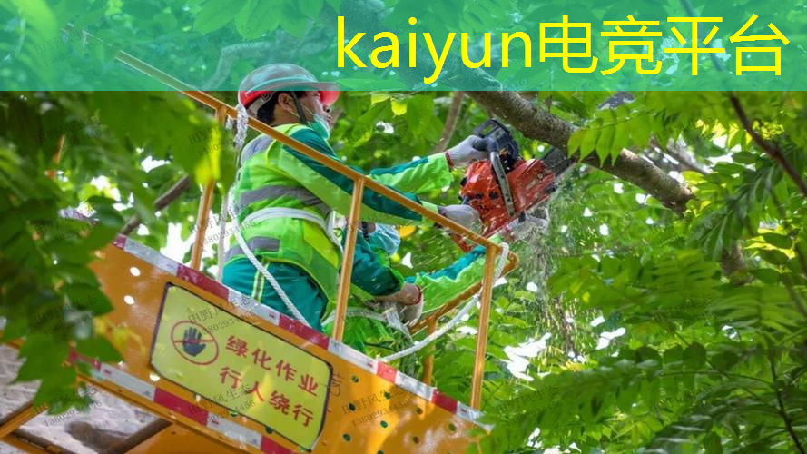3d道路交通模拟游戏