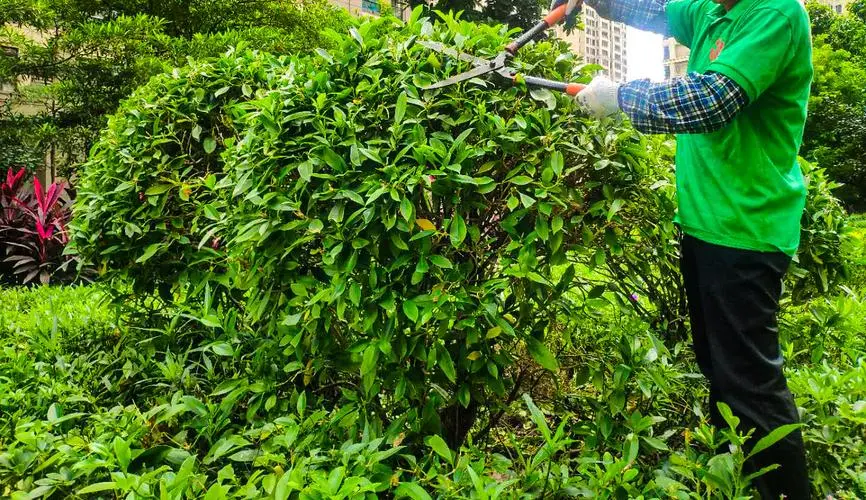 游戏原画数量怎么算