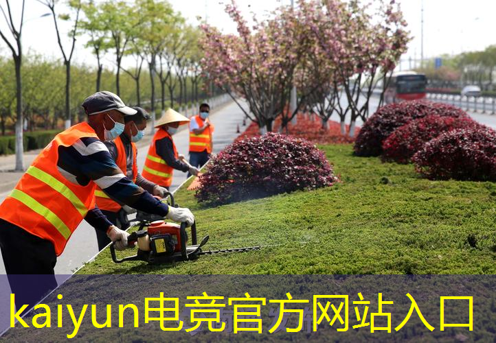 3d养成类电脑游戏推荐