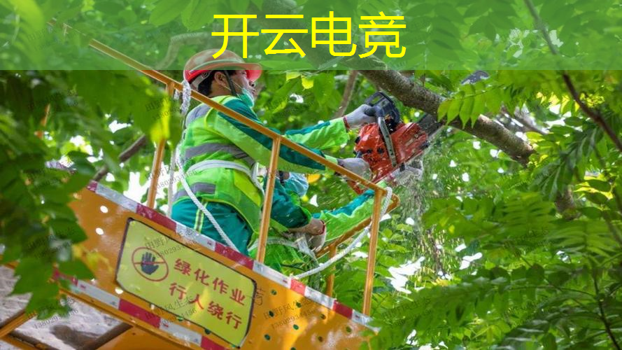 国产3d单机封神榜游戏